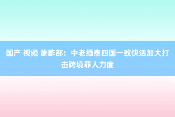 国产 视频 酬酢部:中老缅泰四国一致快活加大打击跨境罪人力度