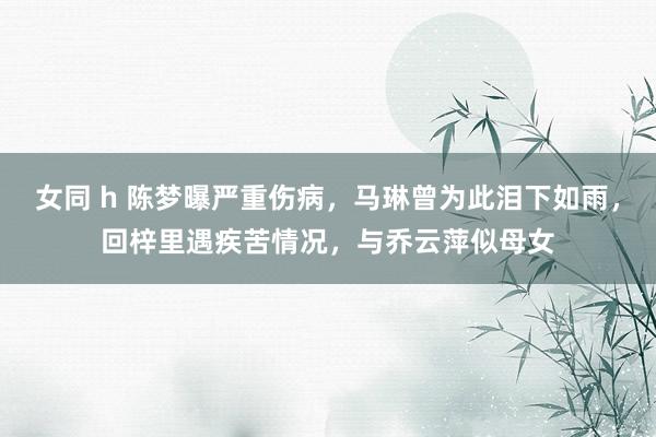 女同 h 陈梦曝严重伤病,马琳曾为此泪下如雨,回梓里遇疾苦情况,与乔云萍似母女