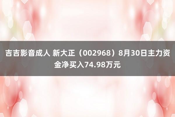 吉吉影音成人 新大正（002968）8月30日主力资金净买入74.98万元