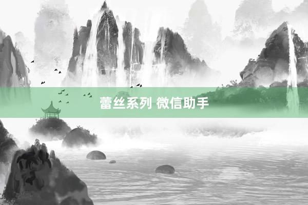 蕾丝系列 微信助手