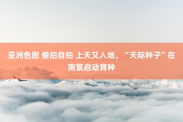 亚洲色图 偷拍自拍 上天又入地，“天际种子”在南繁启动育种