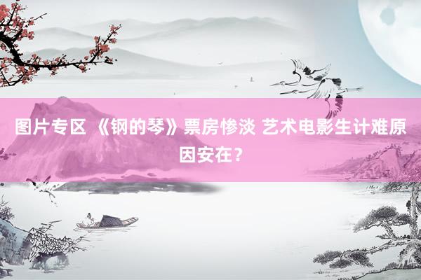 图片专区 《钢的琴》票房惨淡 艺术电影生计难原因安在？