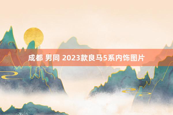 成都 男同 2023款良马5系内饰图片