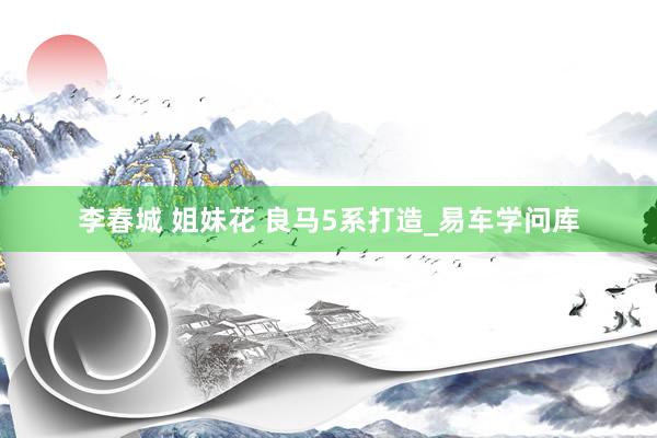李春城 姐妹花 良马5系打造_易车学问库