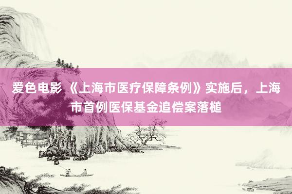 爱色电影 《上海市医疗保障条例》实施后，上海市首例医保基金追偿案落槌