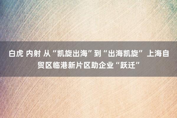 白虎 内射 从“凯旋出海”到“出海凯旋” 上海自贸区临港新片区助企业“跃迁”
