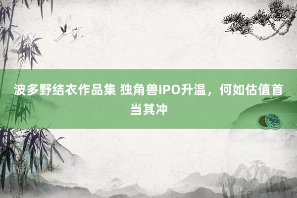 波多野结衣作品集 独角兽IPO升温，何如估值首当其冲