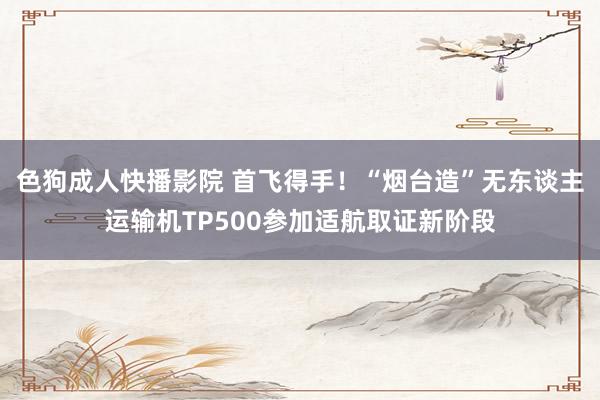 色狗成人快播影院 首飞得手！“烟台造”无东谈主运输机TP500参加适航取证新阶段