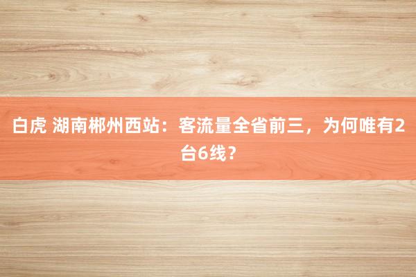 白虎 湖南郴州西站：客流量全省前三，为何唯有2台6线？