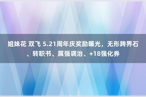 姐妹花 双飞 5.21周年庆奖励曝光，无形跨界石、转职书、属强调治、+18强化券