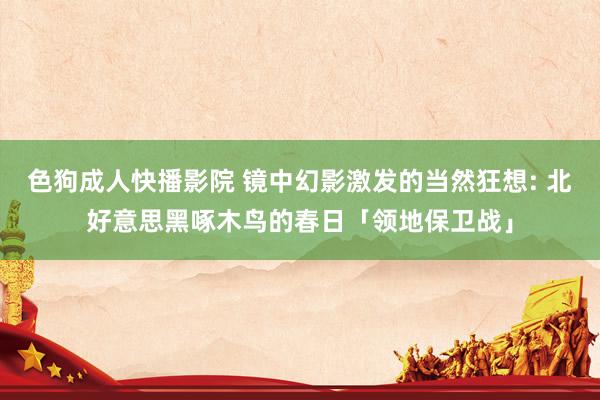 色狗成人快播影院 镜中幻影激发的当然狂想: 北好意思黑啄木鸟的春日「领地保卫战」